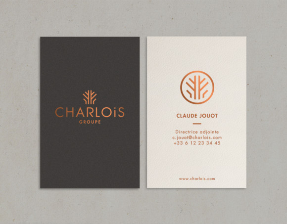 Le Groupe Charlois Le Groupe Charlois